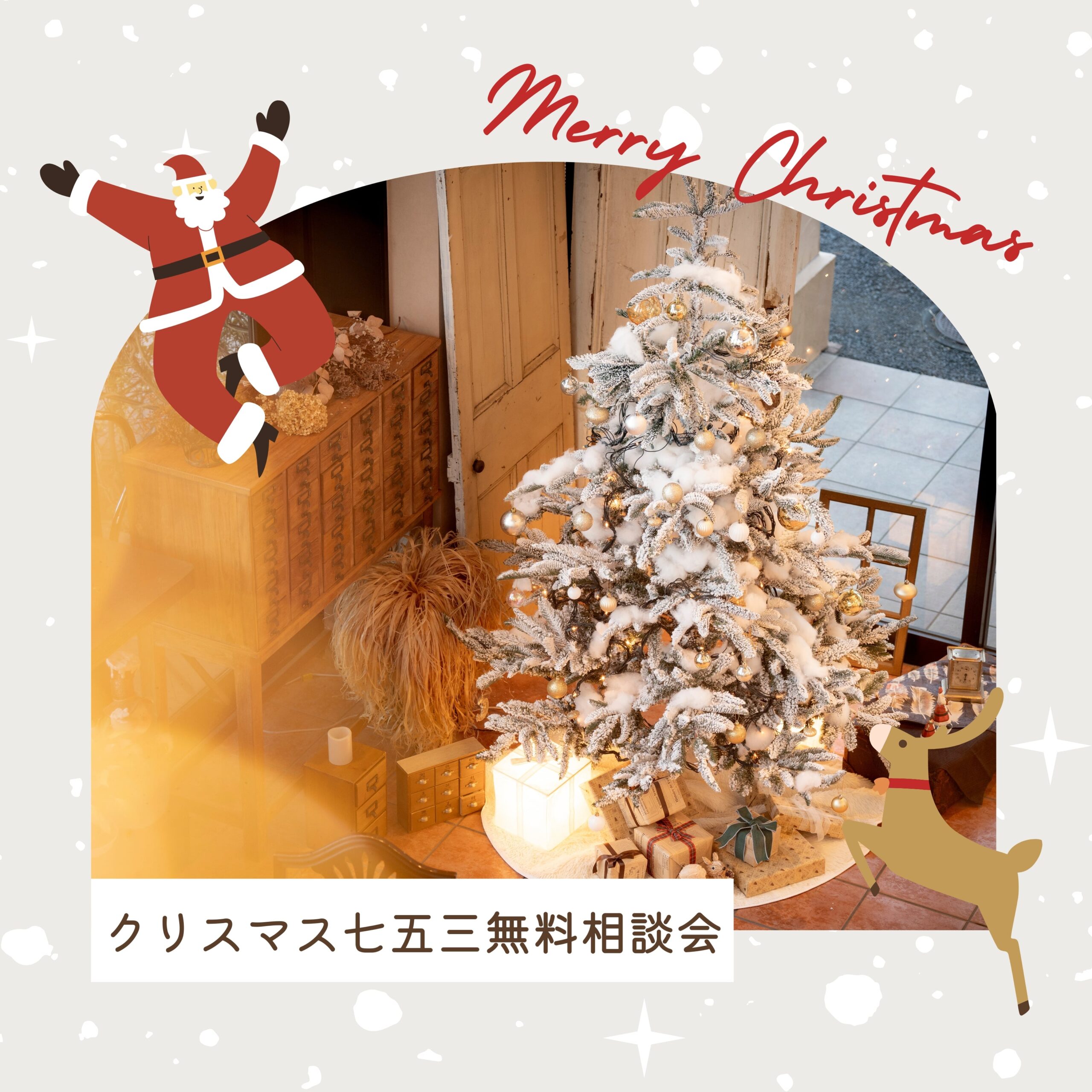 クリスマス　七五三